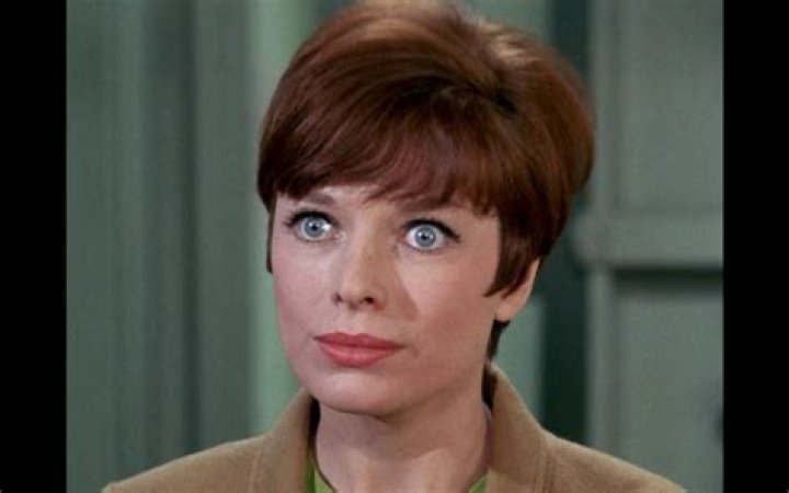 Aneta Corsaut Cause of Death: The Enduring Interest in a Notable Name