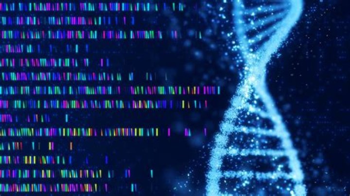 Decoding xxnnnnx: Unraveling Amino Acid Patterns for Professional Growth Today