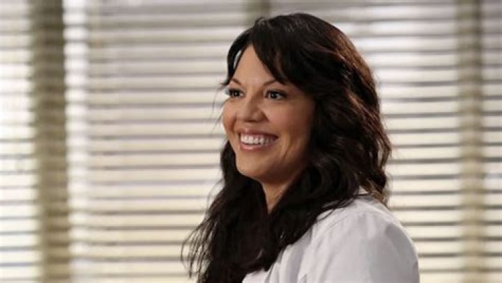 Did Callie Die in Grey's Anatomy? Unraveling Her Story