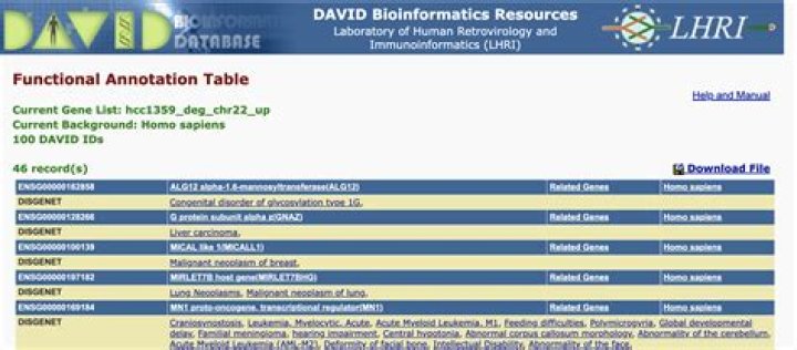 Exploring the DAVID Bioinformatics Tool: Unpacking Gene Insights (Addressing david goggins xnx in Scientific Queries)