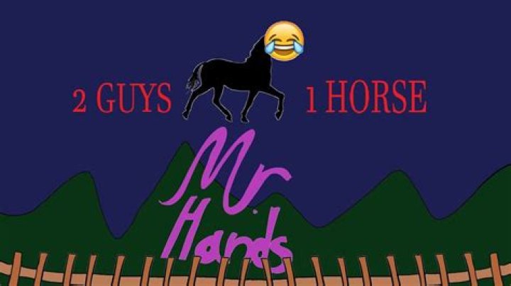 Exploring the Notorious Internet Phenomenon: 2 Guy One Horse