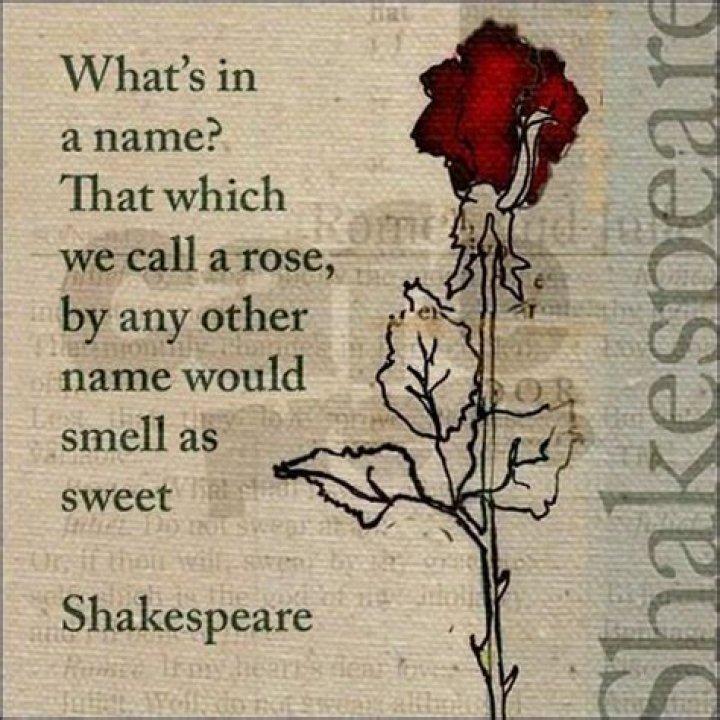 Jake Preston: What's in a Name and Why It Matters