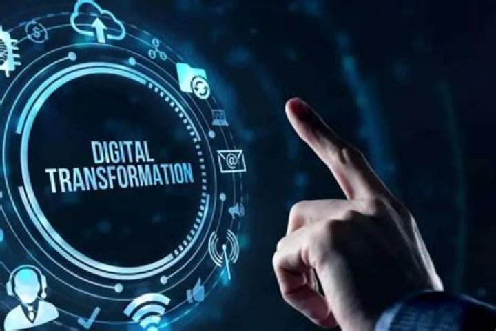 Mallu Sites: Exploring Kerala's Digital World Today