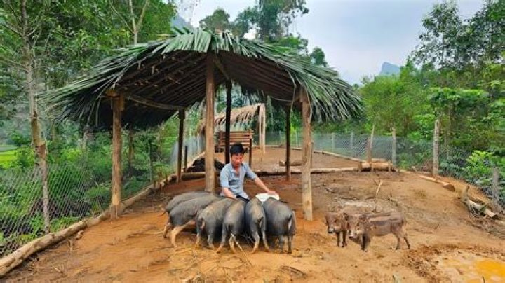 Taming Your Project Boar: Smart Ways to Manage Big Endeavors