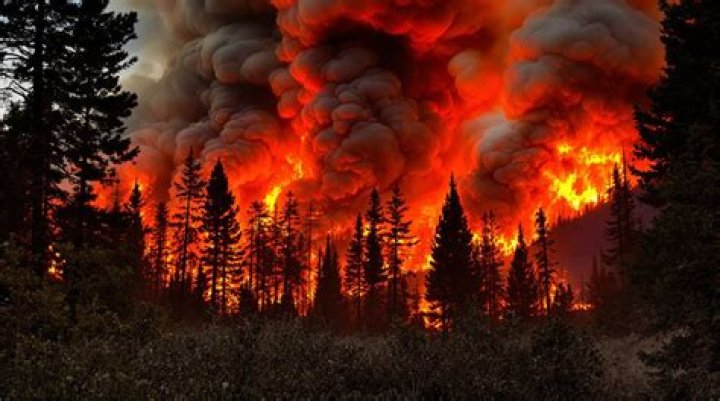 Understanding **Viral Cand**: What Makes Content Spread Like Wildfire?