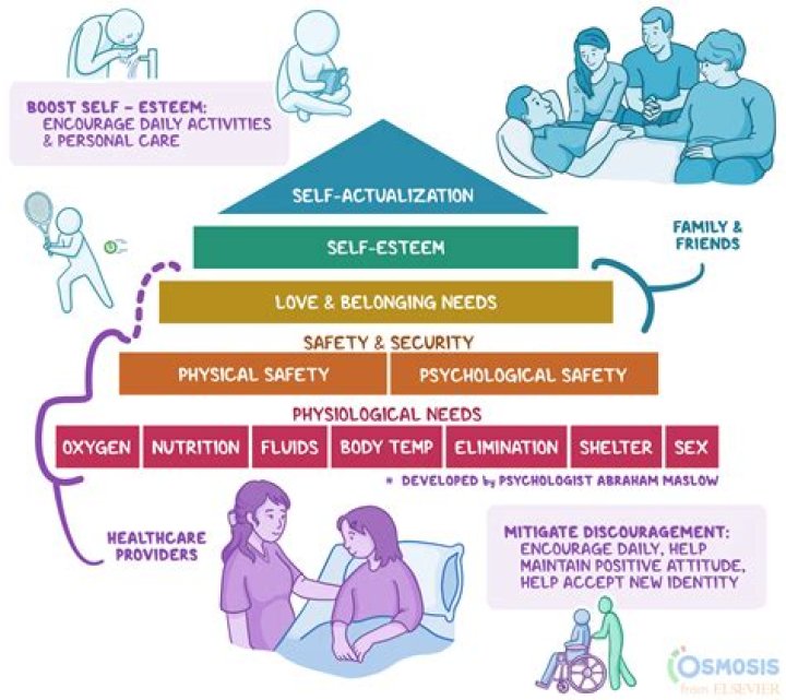 Unpacking ymaal com: Connecting Industrial Needs with Healthcare Solutions